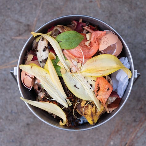 A grid of nine tin buckets of compost.