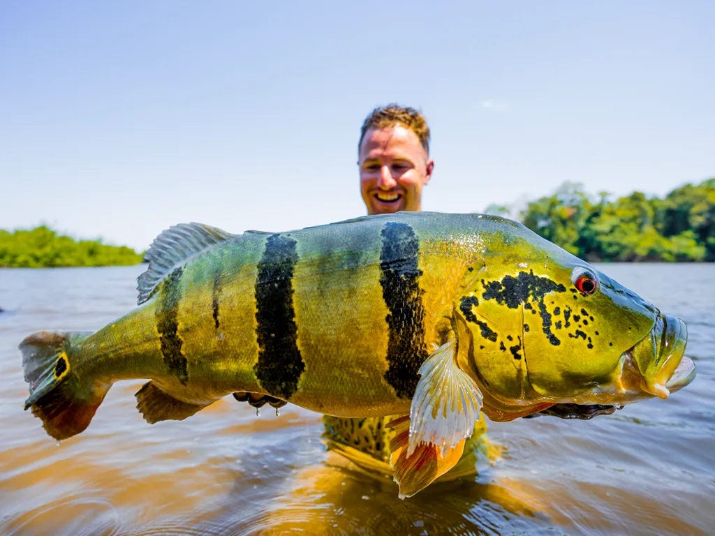 Meet Ryan Izquierdo: Titan Ambassador and South Florida Fishing Icon