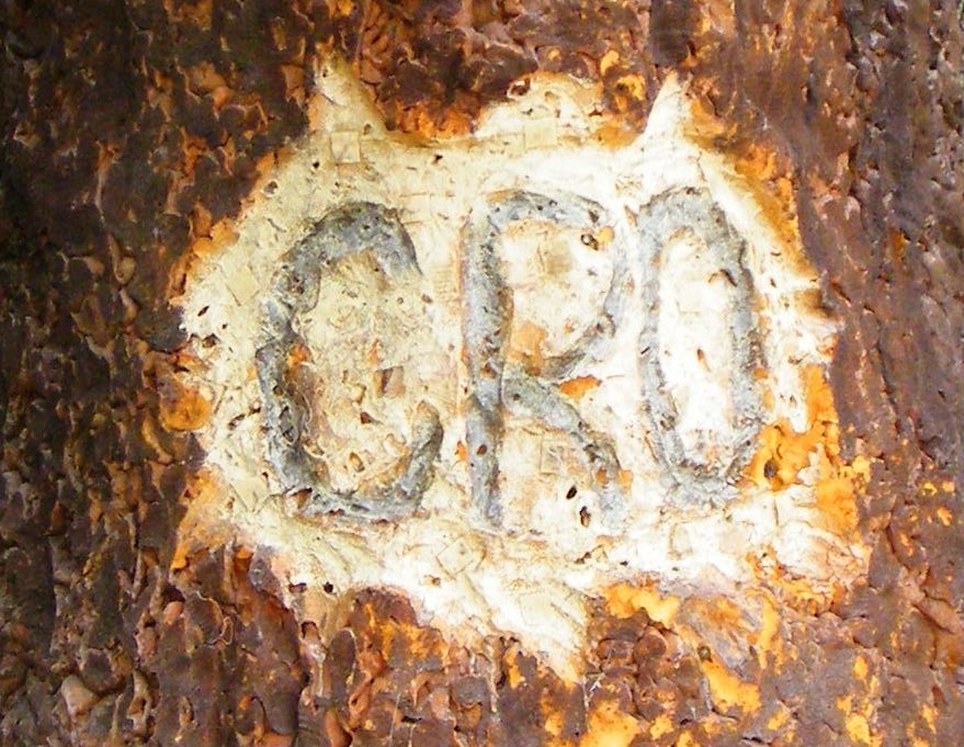 "CRO" written on a tree, part of the Lost Colony performance at Fort Raleigh National Historic Site.