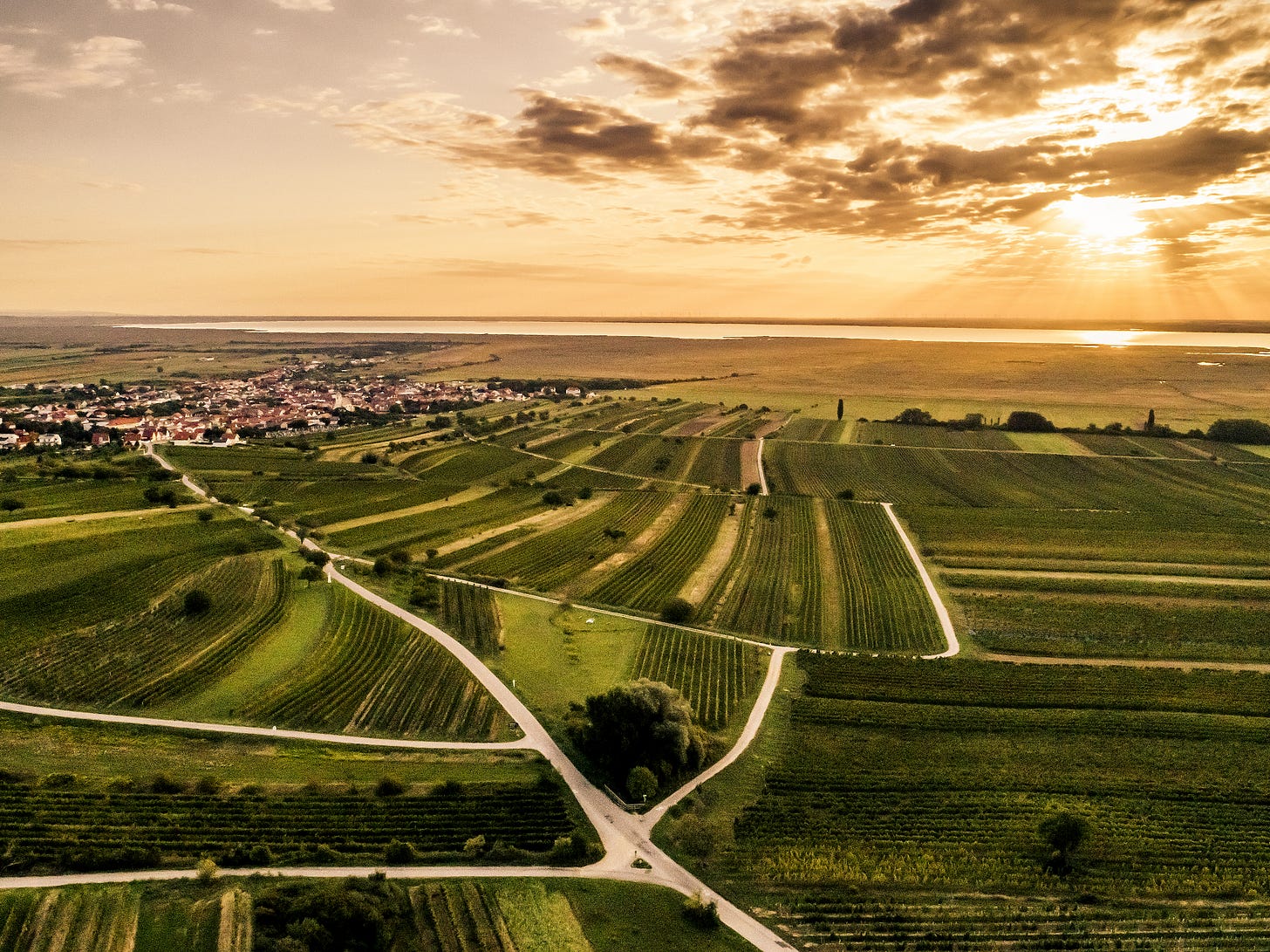 Photo courtesy Austrian Wine Marketing. Photo courtesy Austrian Wine Marketing.