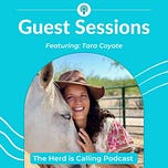 The Healing With Horses Compass