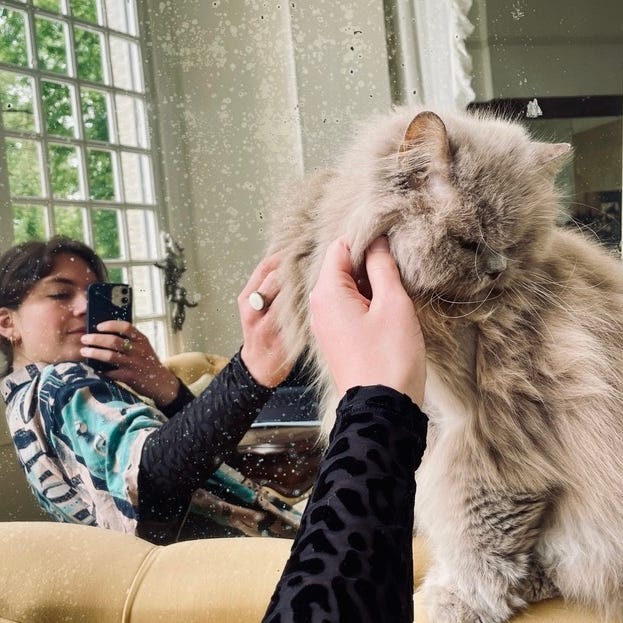 Psychology of a Creative Life