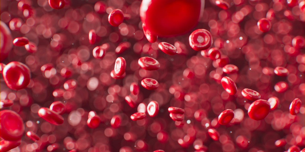 bomenenbos.substack.com