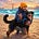 Avinash Gopinathan's avatar