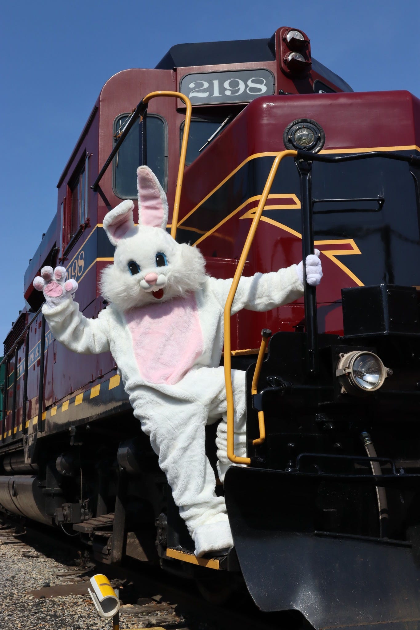 No photo description available. No photo description available.