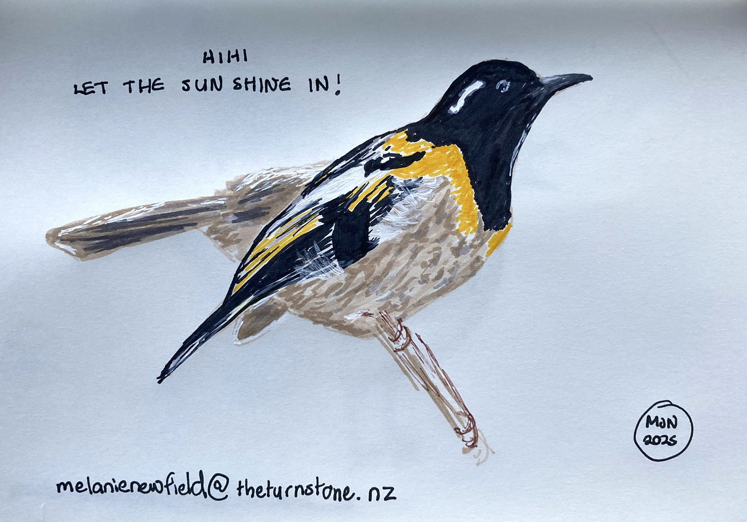 A felt pen drawing of a small perching bird with a black head, brown body and band of yellow at the neck, caption, let the sun shine in