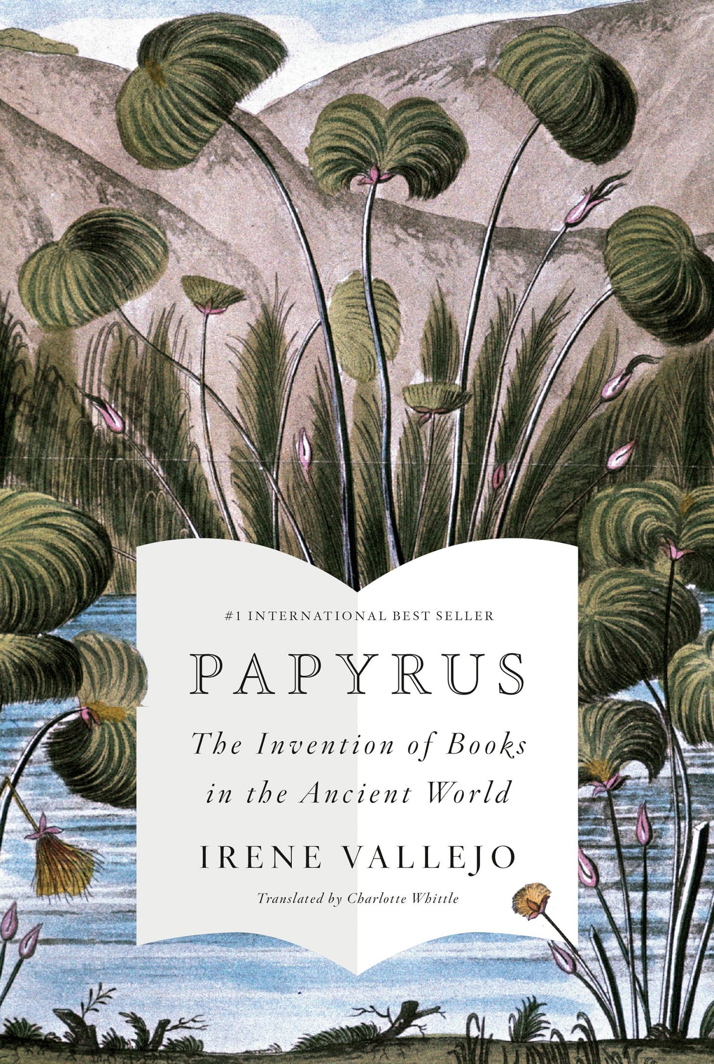 Papyrus: The Invention of Books in the Ancient World: Vallejo, Irene,  Whittle, Charlotte: 9780593318898: Amazon.com: Books