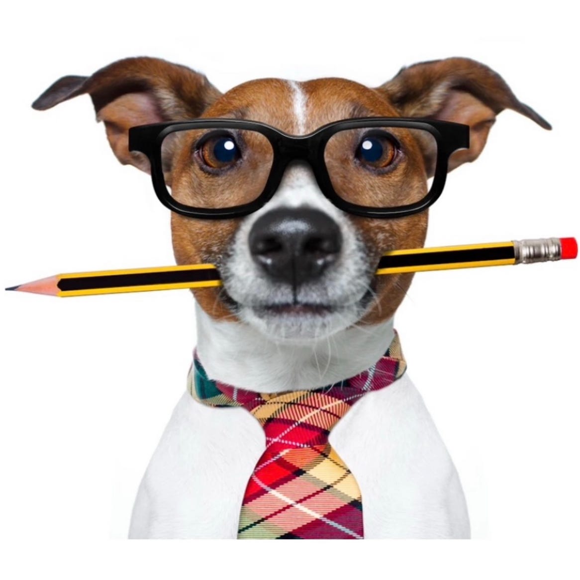 Artwork for Charlie Whooph