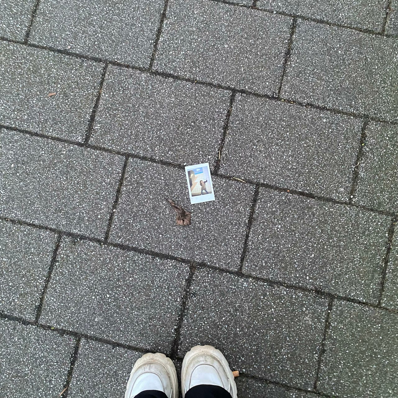 confessions of a 20s paradox