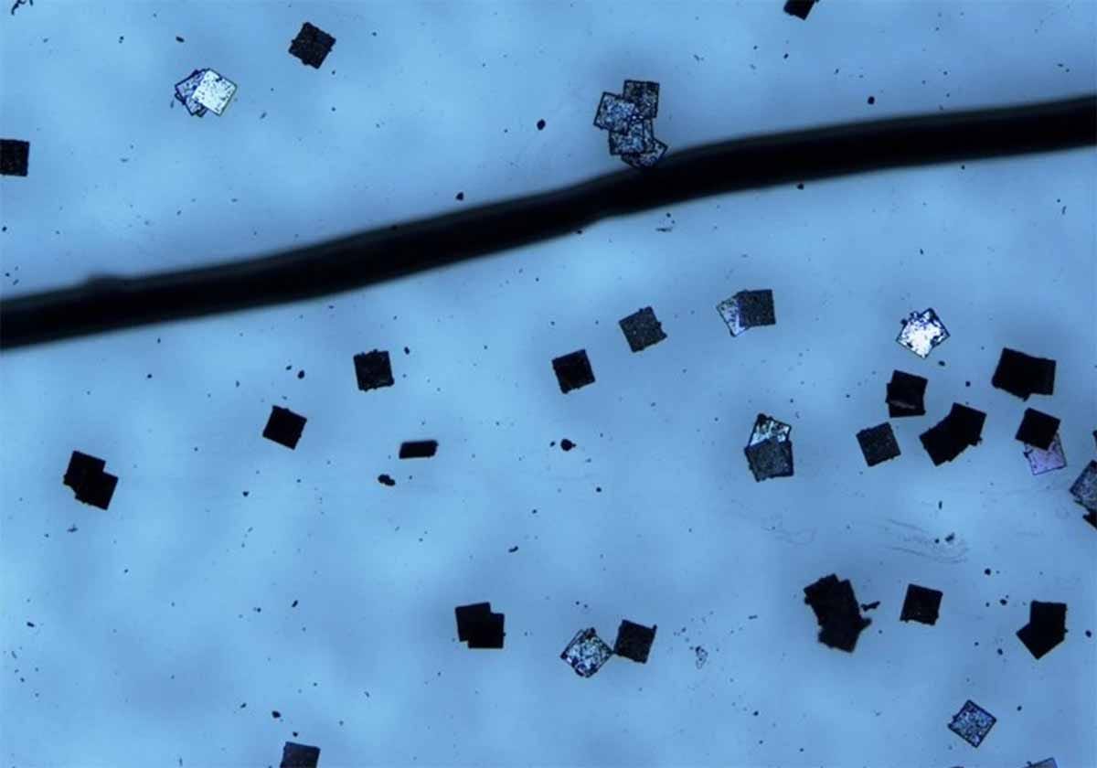 Hitachi shows off the world's smallest RFID chip