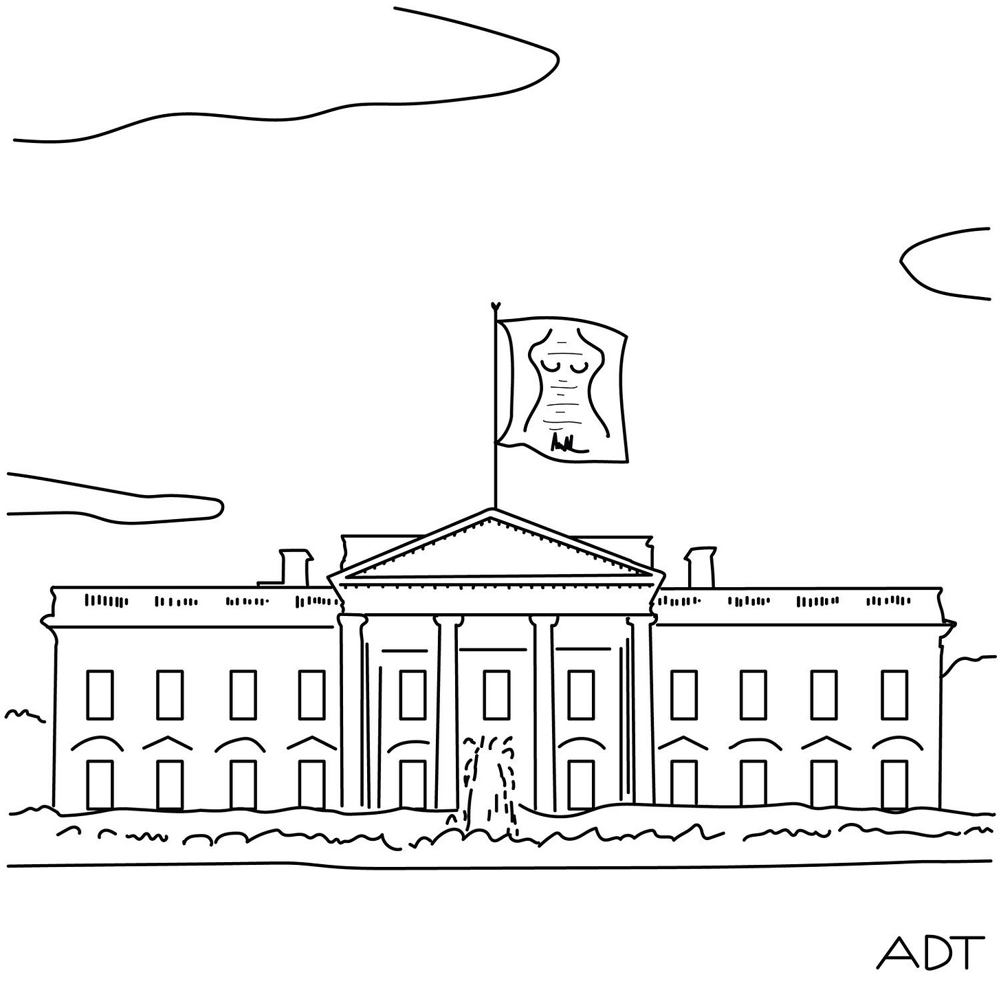 The White House has a flag flying from the roof featuring a doodle of a naked womans torso.