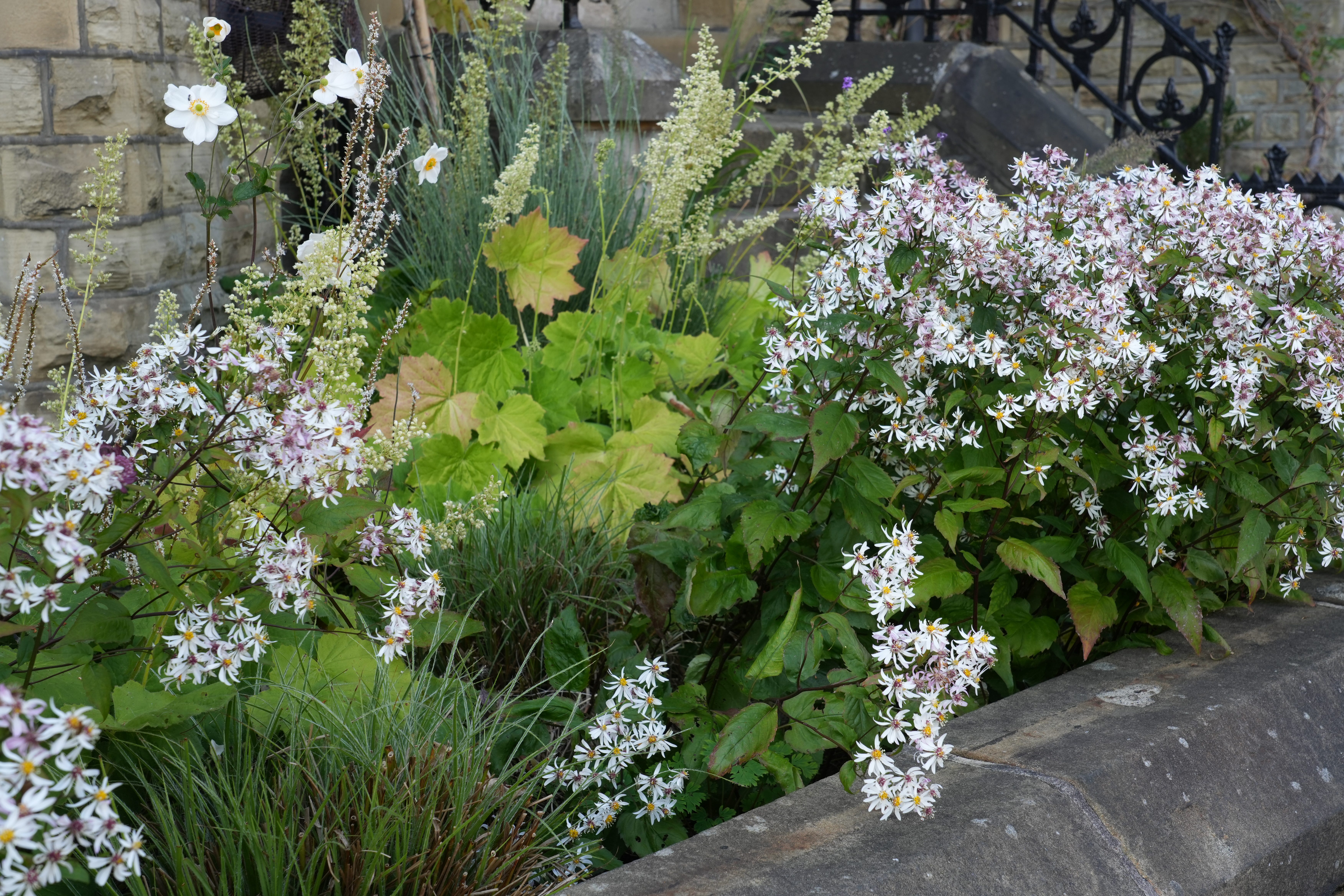 How to understand plant vigour