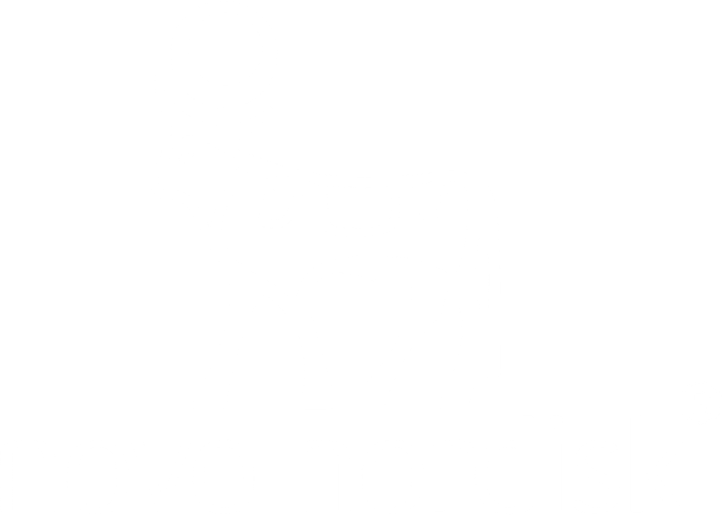 Novo Nordisk logo in transparent PNG and vectorized SVG formats