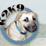 Kathy Mandell’s Substack