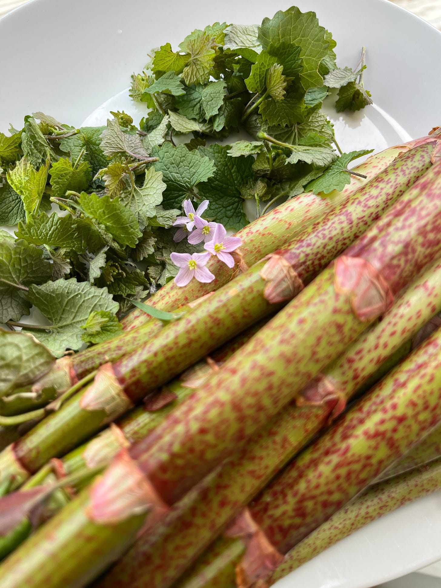 Tork Xpressnap® Serviettdispenser Bord Lysegrå N4, image size:1456x1941