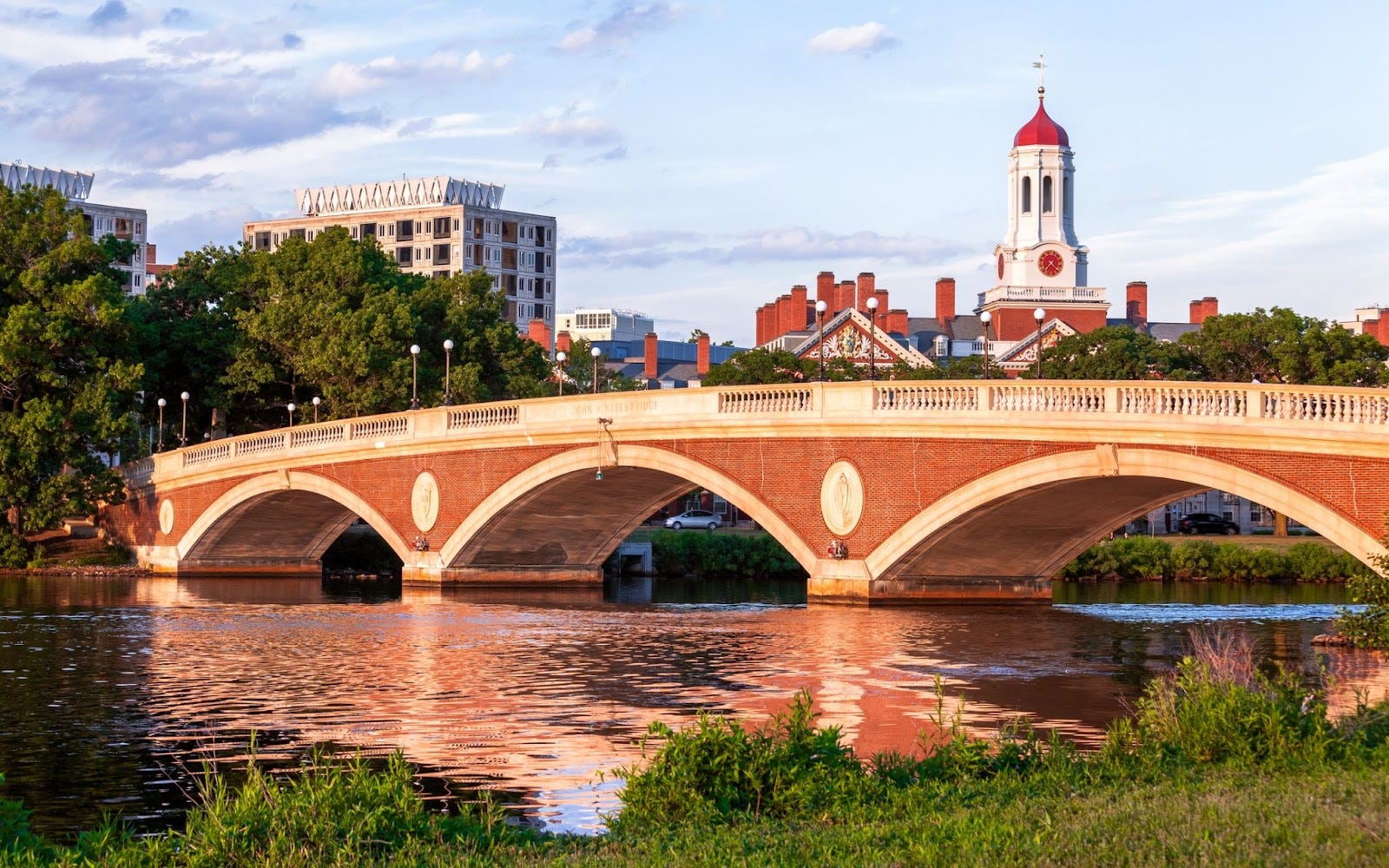 Oh Man — Imagine If Universities Were Politically Biased In Their Hiring