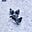 birdsof_afeather's avatar