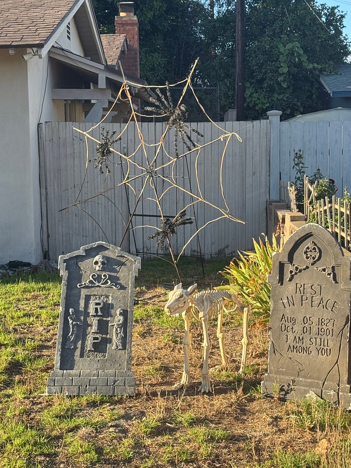 Various Halloween displays--including witches, skeletons, spiders, and a talking medieval knight--in front yards along Santa Paula Street.