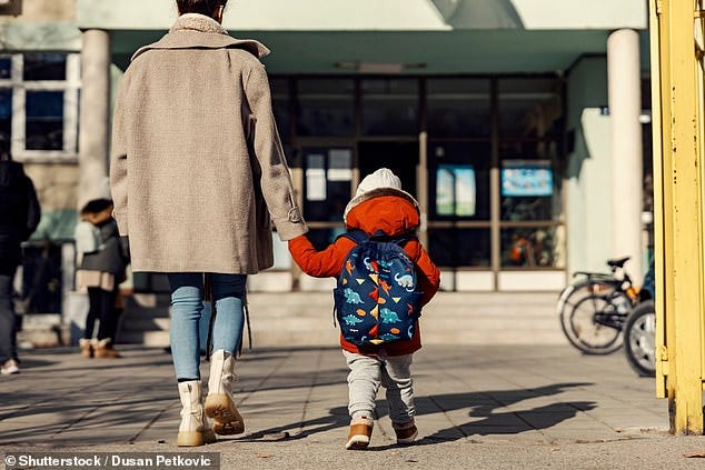 The child, aged either three or four, was suspended for 'abuse against sexual orientation and gender identity' (file image)