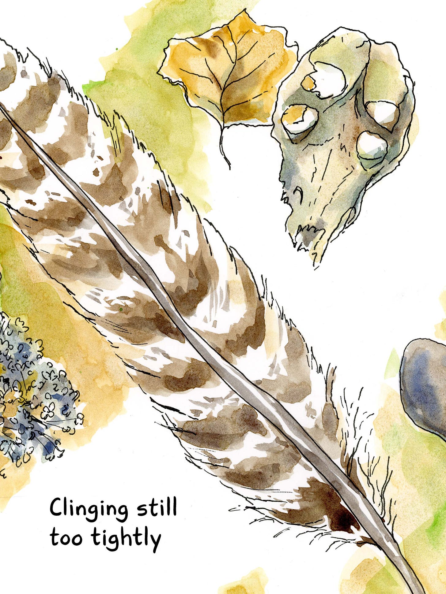 Watercolor comic by graphic novelist K. Woodman-Maynard of a feather and a skull, text reads “clinging still tightly.”