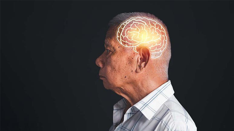 human brain judgement peak