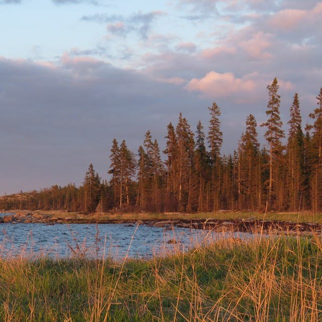 Biotic Regulation and Biotic Pump