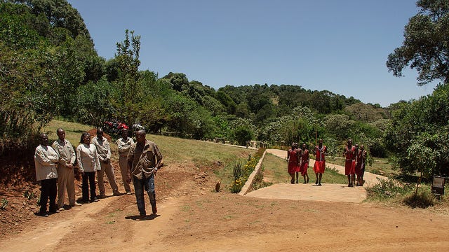 Our welcoming committee at the lodge in the Serengeti. Our welcoming committee at the lodge in the Serengeti.