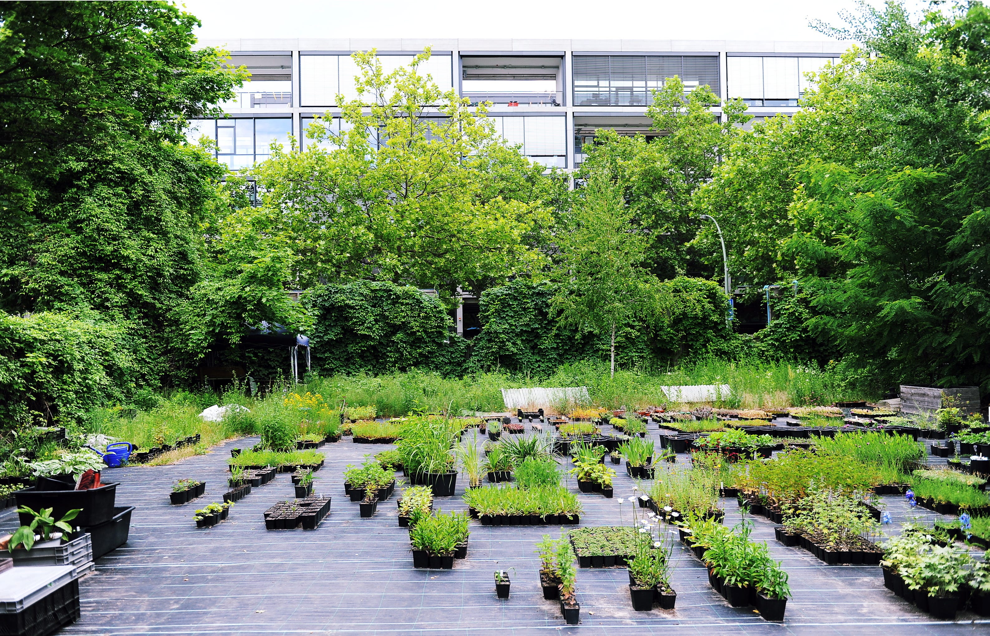 植物との共生」を考えるブックガイド：WORKSIGHTプリント版最新号