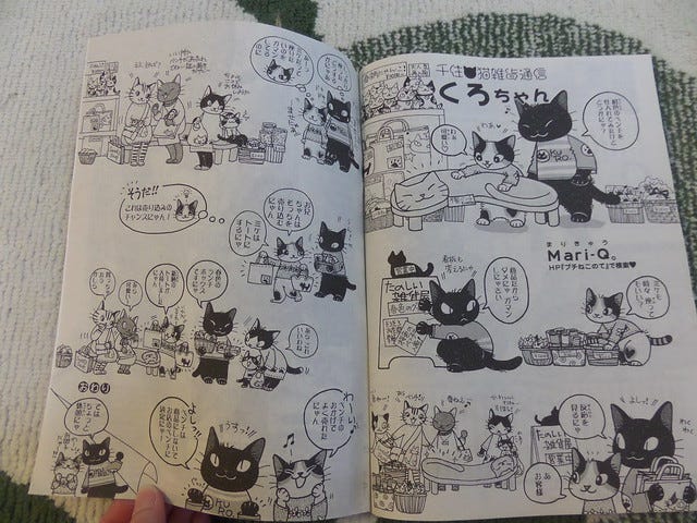 Japanese Cat Comic Japanese Cat Comic