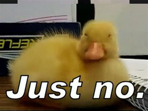 No. Just no. - YouTube No. Just no. - YouTube