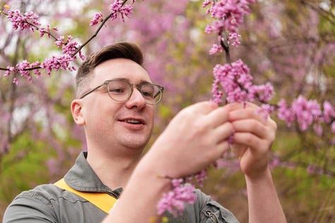 Close up images of Eastern Redbud flowers, shot by JB Douglas for The Wild Grocery