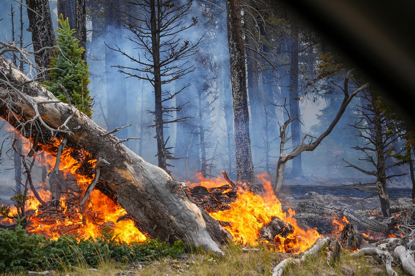 Photo showing fire burning along Highway 67. Photo showing fire burning along Highway 67.