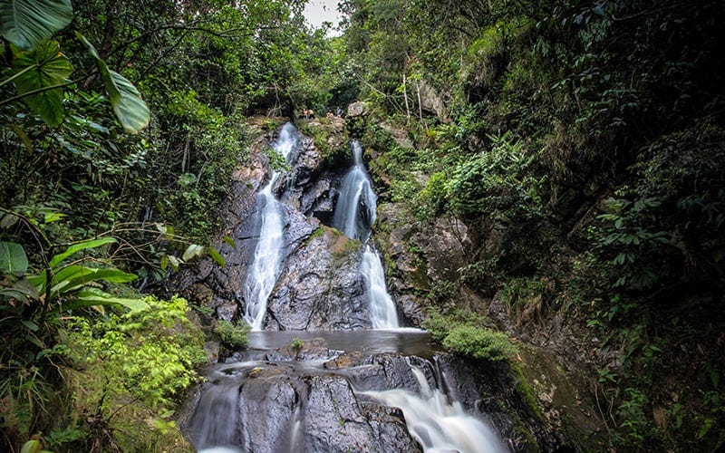 Moyobamba Travel Guide - How to Peru Moyobamba Travel Guide - How to Peru