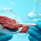 đ„ Hot Issues - La viande cultivĂ©e en laboratoire đ„© đŹ