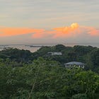 The Alliance in Action in the Solomon Islands