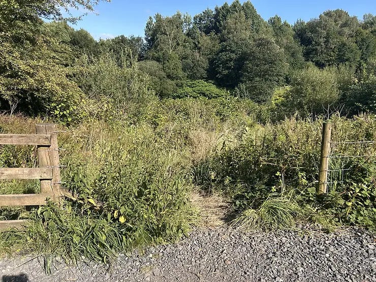 Broken fencing that blocks access to the River Irwell ‘beach’ area. Broken fencing that blocks access to the River Irwell ‘beach’ area.