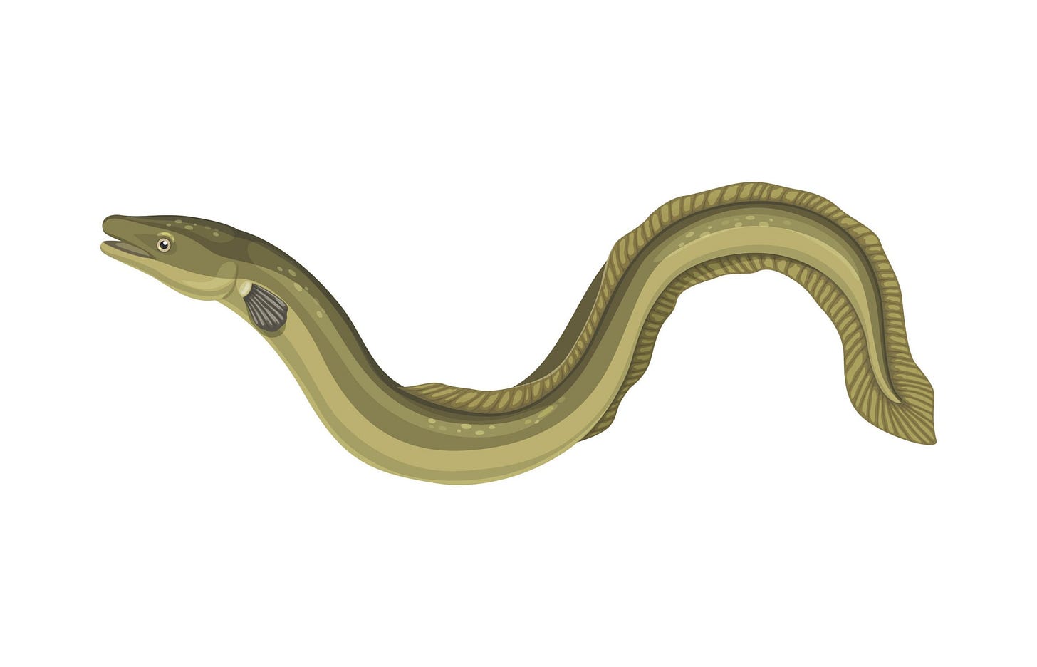 image: Vector Tradition/Shutterstock
