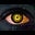 Frank L's avatar