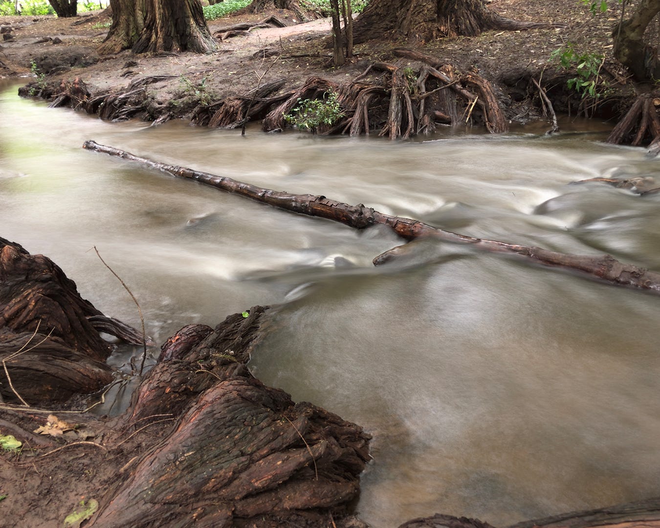 5th-Place__TWTW-105__Body-image__Gossamer-like-the-stream