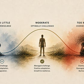 Stress Is Good for You. Kind of.