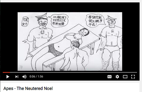 Disturbing images, some depicting torture, in this Amanda Kleinmans video