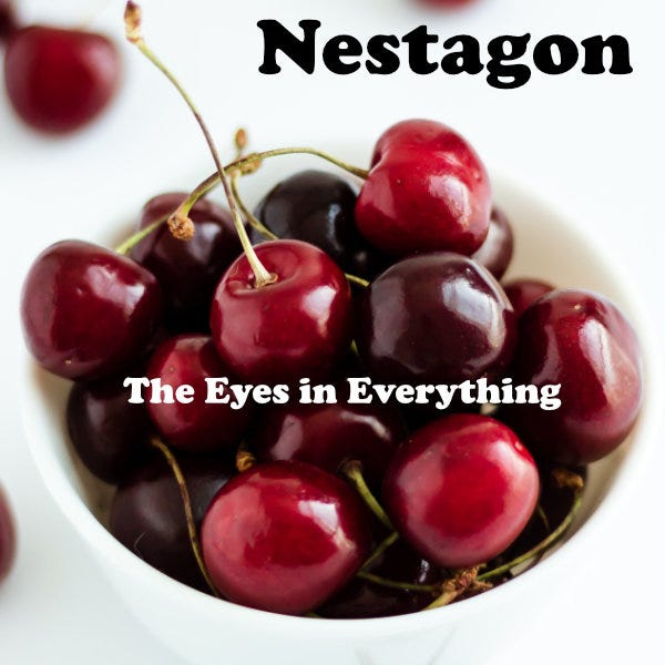 Nestagon, The Eyes In Everything Nestagon, The Eyes In Everything
