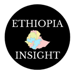 Ethiopia Insight's Substack