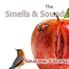 Writing About the Smells and Sounds of Sex