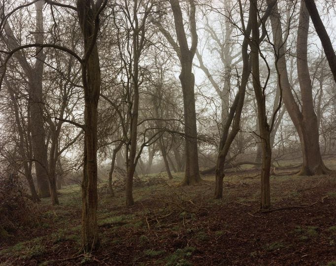 John Spinks, Harrowdown Hill, 2014 © John Spinks