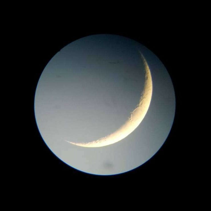 I love us to the moon and back