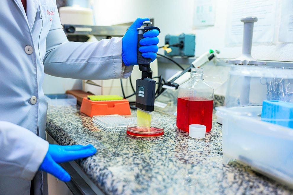 Pessoa em jaleco branco e luvas azuis opera equipamento de pipetagem automática sobre bancada de granito cinza, depositando líquido amarelo em placa de Petri com meio de cultura vermelho, com frascos contendo líquidos coloridos (vermelho e azul), materiais de laboratório e equipamentos diversos visíveis ao fundo desfocado. Pessoa em jaleco branco e luvas azuis opera equipamento de pipetagem automática sobre bancada de granito cinza, depositando líquido amarelo em placa de Petri com meio de cultura vermelho, com frascos contendo líquidos coloridos (vermelho e azul), materiais de laboratório e equipamentos diversos visíveis ao fundo desfocado.