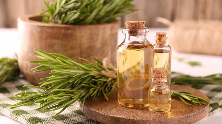 essential oils guide essential oils guide