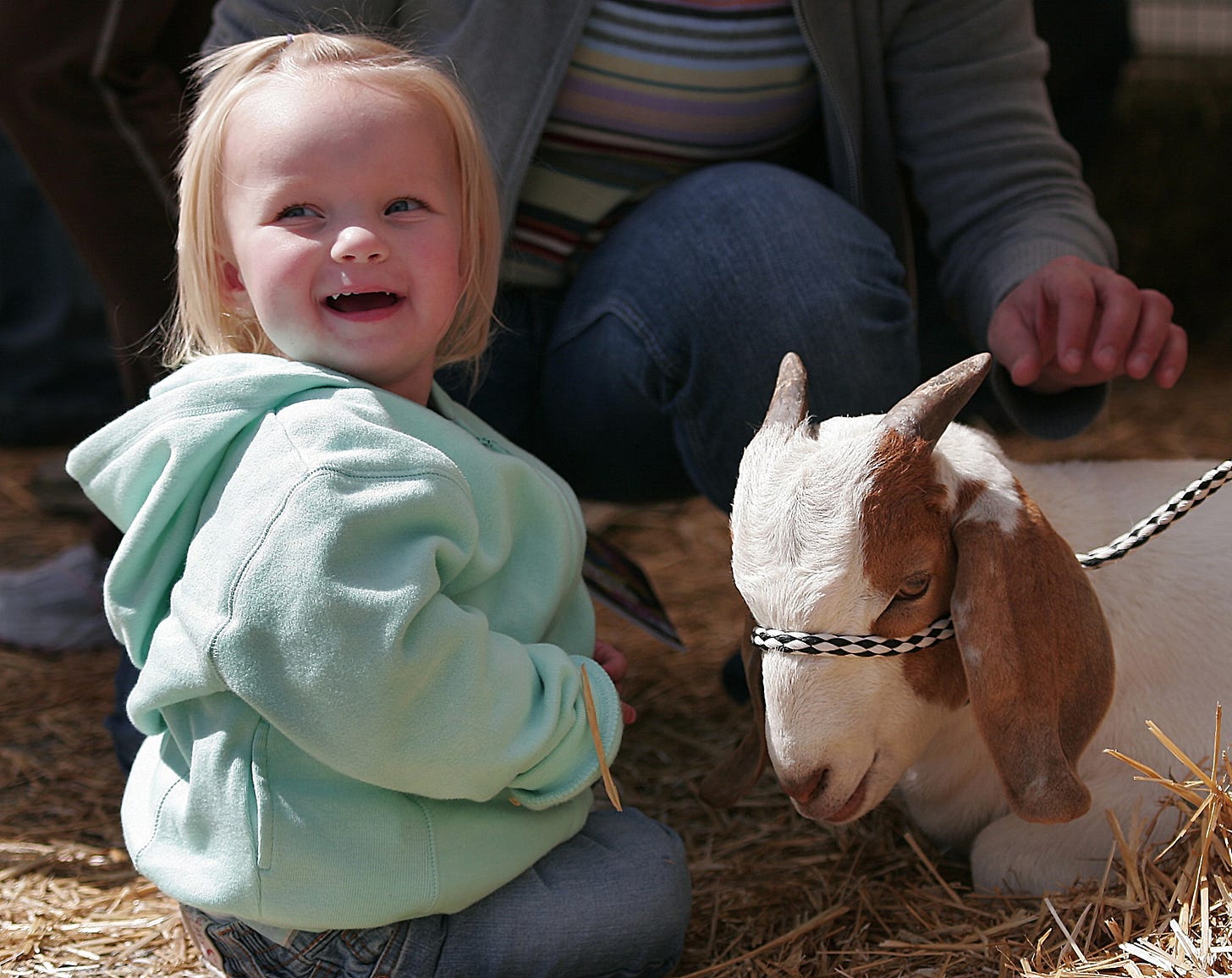 A petting zoo is an almost fool-proof photo opportunity - especially when little kids are involved. A town festival brought out the local FFA chapter, which provided a children’s petting zoo featuring farm animals. This little girl’s face registers excitement as she gets close to a resting goat.