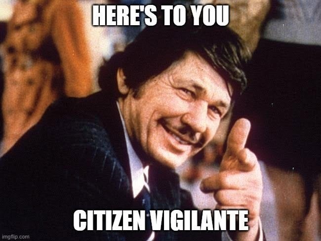 May be an image of text that says 'HERE'S TO YOU CITIZEN VIGILANTE'